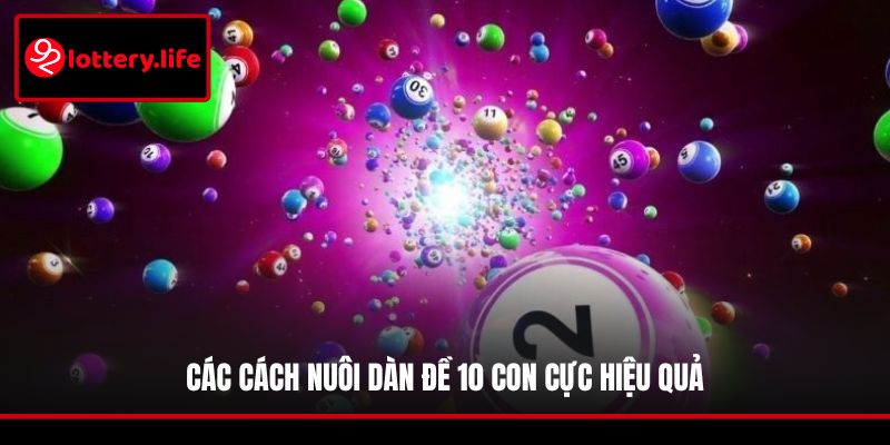 Các cách nuôi dàn đề 10 con cực hiệu quả