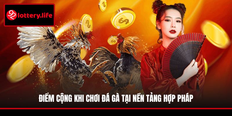 Điểm cộng khi chơi đá gà tại nền tảng hợp pháp