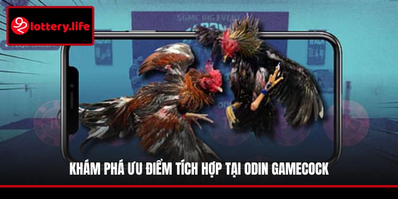 Khám phá ưu điểm tích hợp tại Odin GameCock