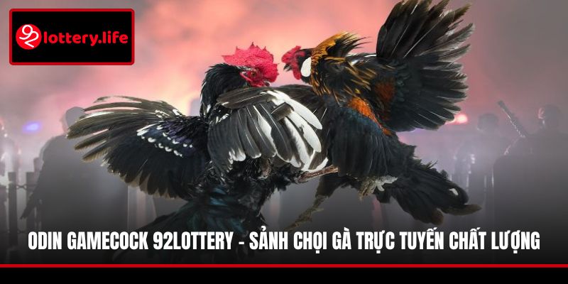 Odin GameCock 92LOTTERY